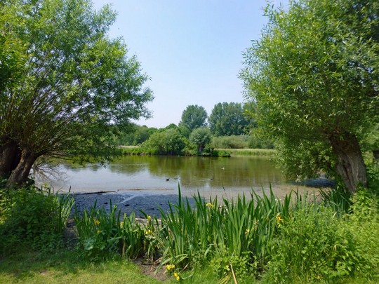 Im Museum Insel Hombroich