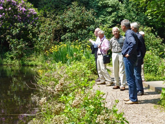 An der Erft im Museum Insel Hombroich